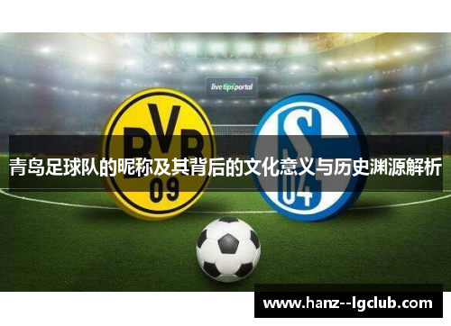 青岛足球队的昵称及其背后的文化意义与历史渊源解析